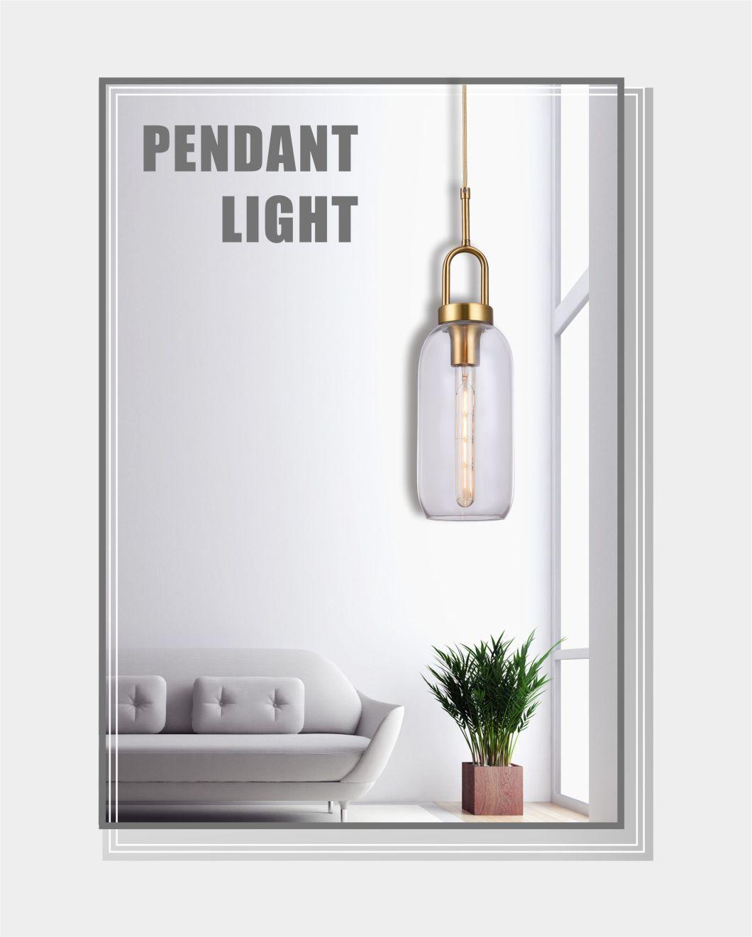Modern Indoor Pendant Lamp simple Chandelier with Glass Tube