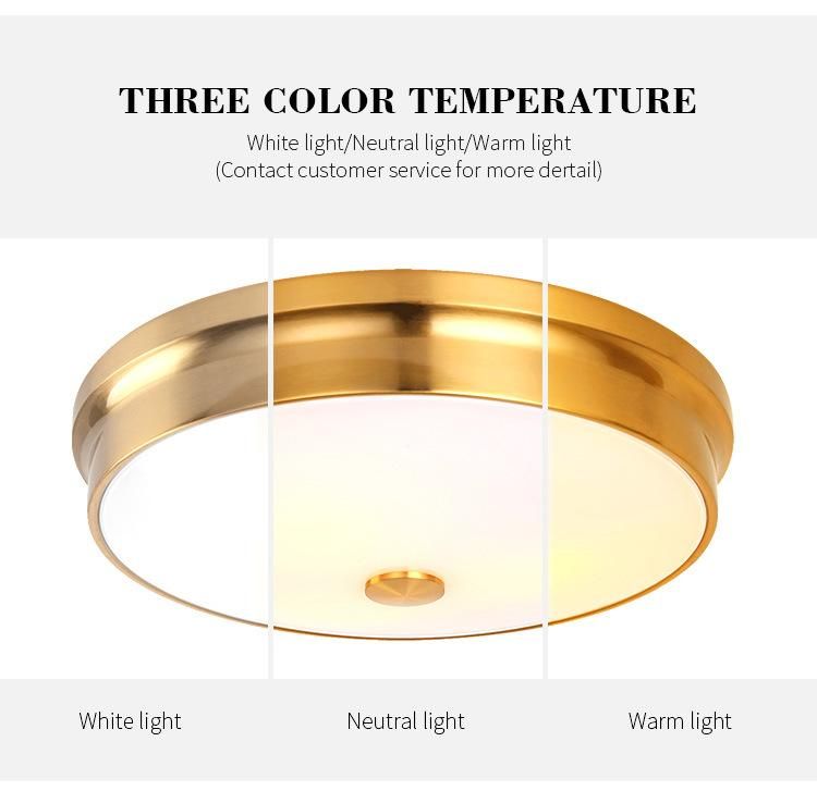 Modern Luxury Plated Gold Brown Round Iron Art Restaurant Porch Ceiling Lamp for Living Room