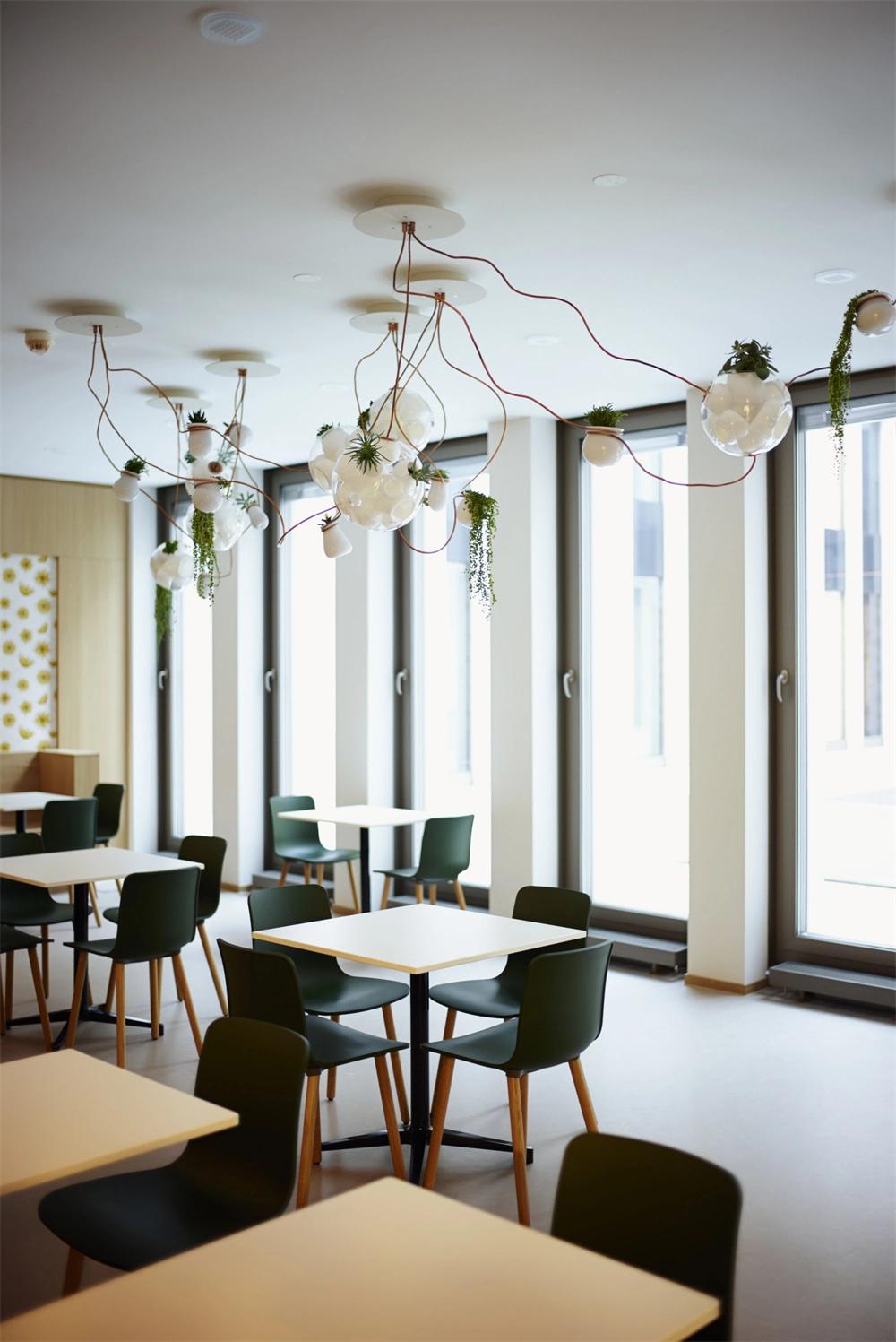 Hanging Glass Round Terrarium for Decoration Clear Glass Hanging Pendant Light