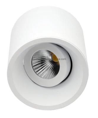 Aluminium Tiltable and Adjustable GU10 MR16 LED Downlight Ceiling Light Surface Mounted Downlight Smx2a