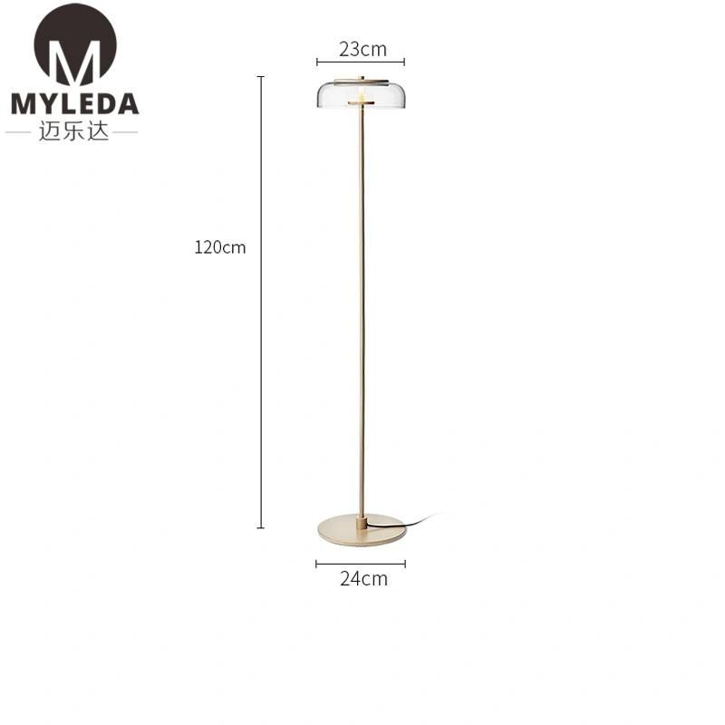 Morden Brass Clear Glass Shade Standing Reading Floor Lamp