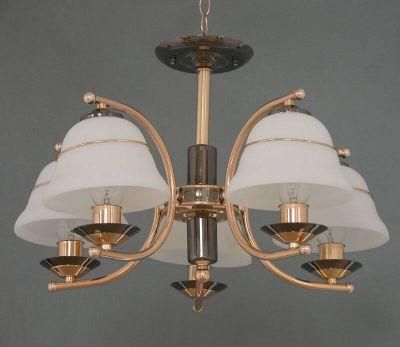 Pendant Lamp (D-8874/5)