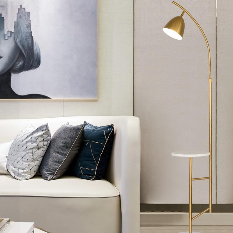 Golden Copper Shade Floor Lamp Living Room Lamp Bedside Lamp