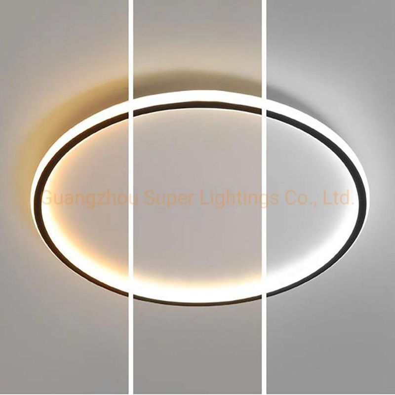 Contemporary LED Ring Ceiling Chandelier Light for Home