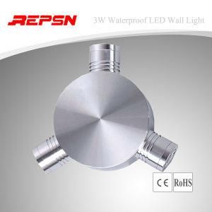IP65 LED Wall Lamp (RS-TG006)