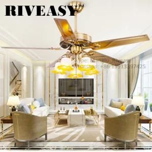 Low Price National Remote Control Ceiling Fan Light with Ce&RoHS