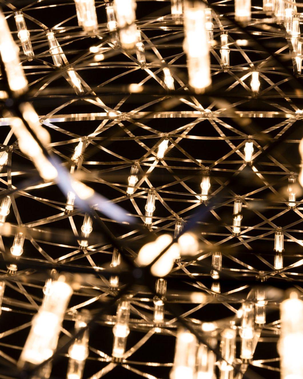 LED Fixtures Luminaires Flower Branches Heracleum Pendant Suspended Sphere Living Room Dining Hallway Lobby Bar Hotel Hanging Light Chandelier