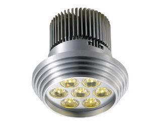 LED Down Lights (LED-404311Y)