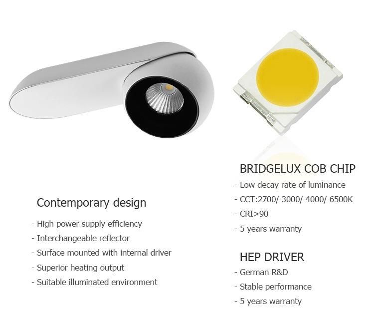 Modern Hotel Indoor Adjustable COB Antiglare 110V-220V Dimming Double Head Surface Mounted Downlight