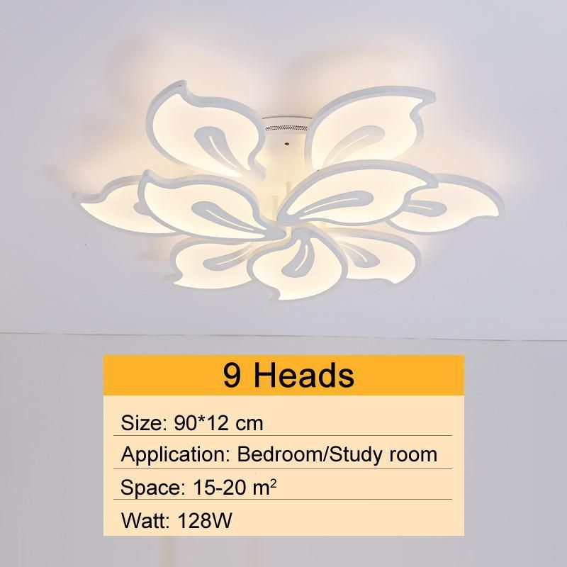 Fancy Acrylic Ceiling Lights for Bedroom Living Room Ceiling Lamp (WH-MA-53)
