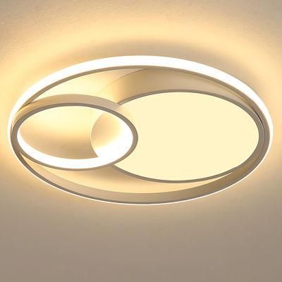 Circle Roundness Ceiling Lamp Pendant Lamp Chandelier Living Room Lamp LED