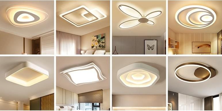 Art Butterfly Acrylic LED Ceiling Lighting for Home Projects Zf-Cl-040