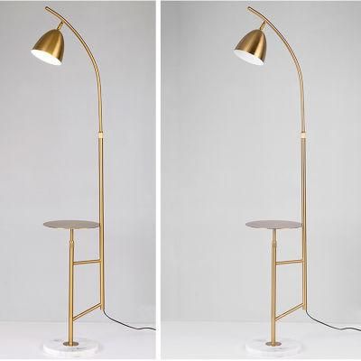 Golden Copper Shade Floor Lamp Living Room Lamp Bedside Lamp