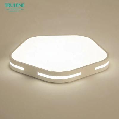 Hotel Ceiling Lamp LED Light Smart LED Ceiling Light