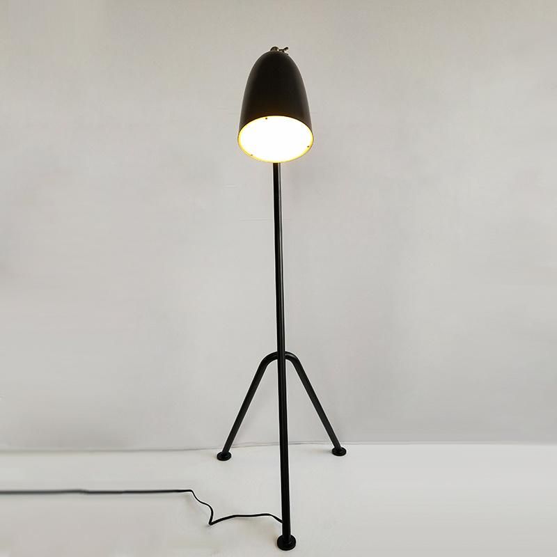 Plating Metal Body and Shade with Acrylic Lock Floor Lamp.