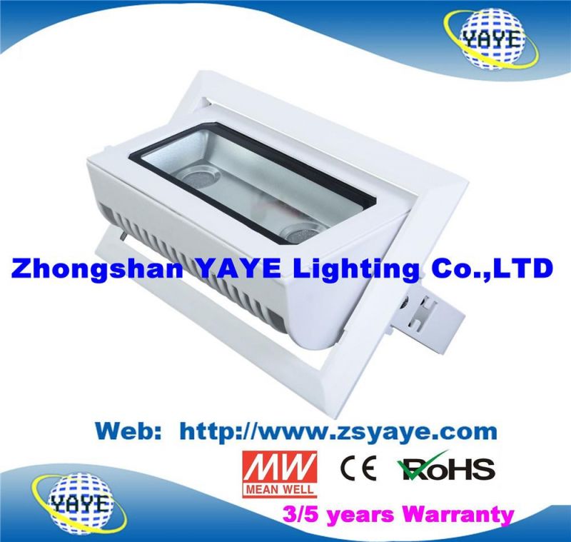 Yaye 18 Best Sell Waterproof IP65 COB 40W LED Down Light /COB 40W LED Ceiling Light