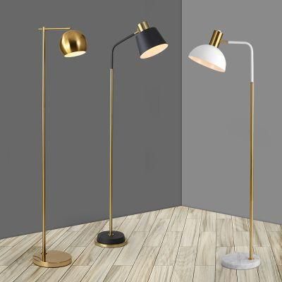 Modern Metal Decoration Contemporary Design Floor Lamp for Living Room