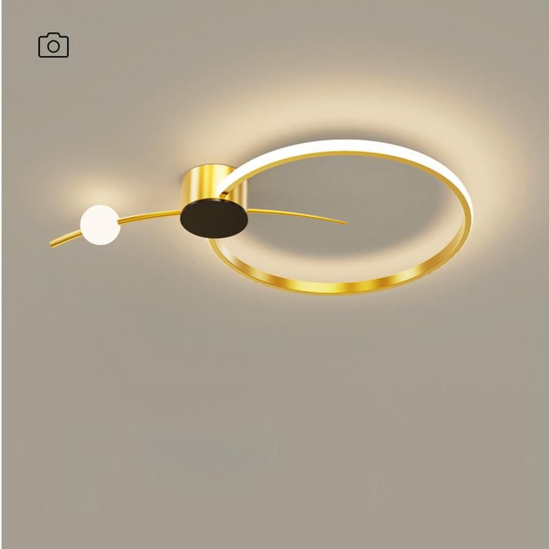 Luxury Fashion Personality Living Room Lamp Ceiling Light Modern Bedroom Light