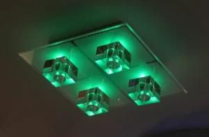 LED Ceiling Light