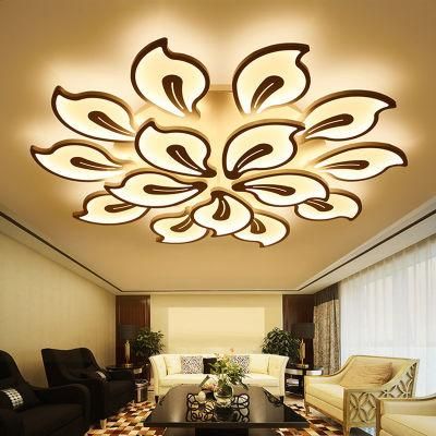 Fancy Acrylic Ceiling Lights for Bedroom Living Room Ceiling Lamp (WH-MA-53)