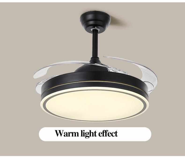 Modern Simple Natural Time Setting RF Remote Control Ceiling Fan with Light Fan Lamp