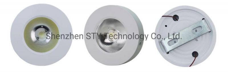 AC 110V 220V 3W LED Ceiling/Counter/Furniture Lamp Spot Light