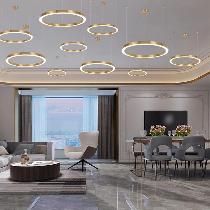 Circle Design Ceiling Lamp Pendant Lamp Hotel Lobby Lamp Display Lighting