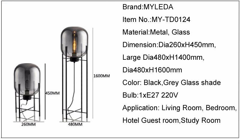 Modern Carbon Steel Glass Home Table Light