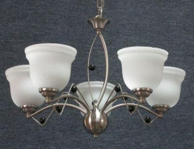 Pendant Lamp