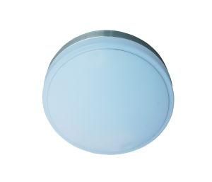 Round LED Ceiling Lamp