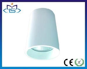10W Bridgelux COB LED Downlight LED Ceiling Light