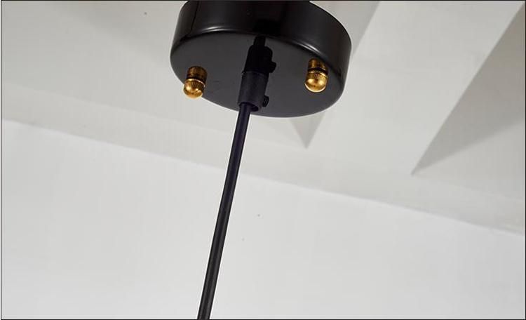 Metal Lamp LED Wall Lamps Home Lighting Pendant Light
