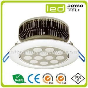 LED Down Lighting 12W/12W LED Pendent Lamp