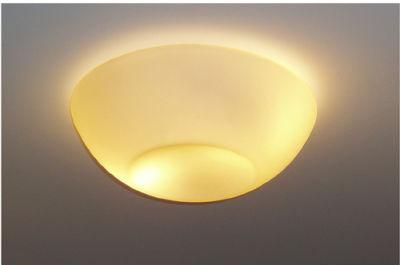 Simple Round Ceiling Lamp (MD-9022)