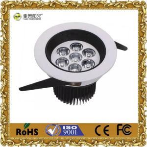 LED Downlight Ceiling Lamp Lighting