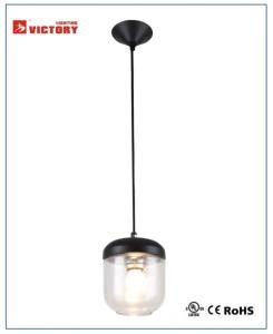 Modern Decorative Black Metal Glass Pendant Lighting (H-170510)