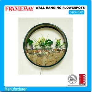 Custom-Manufactured Home Decorating Metal Wall Hanging Flowerpots with Acrylic Water Tank Powder Coated LED Lights