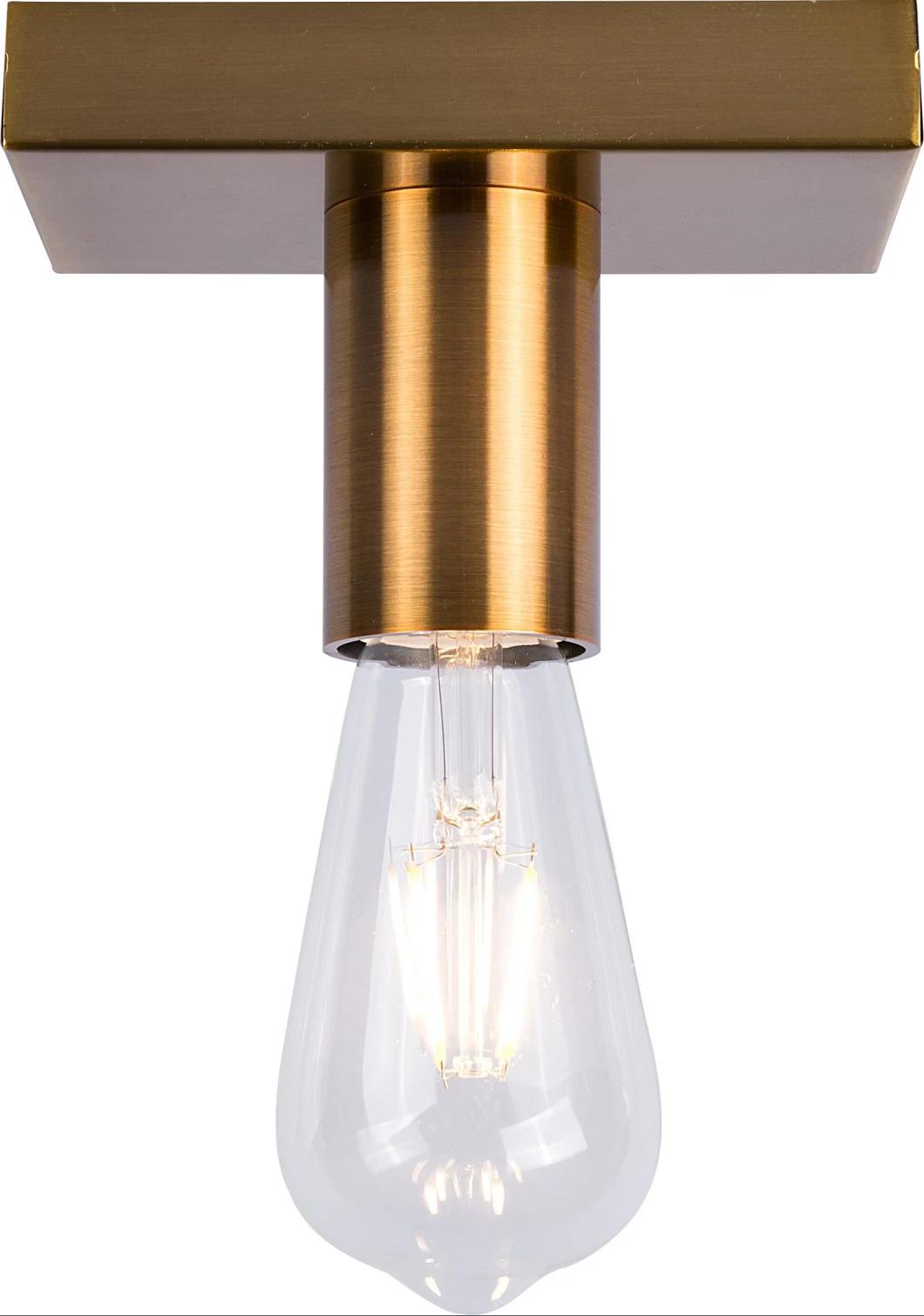 Modern Simple Energy- Saving Bulb Indoor Classic Aluminium Pendant Lighting