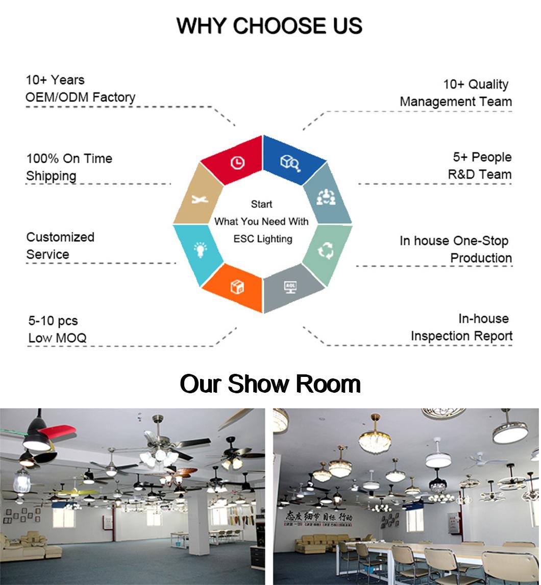 Energy Saving Motor Multi Function LED Remote Control Ceiling Fan Light