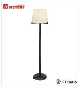 Modern New Design Decorative Floor Lamp F-3464