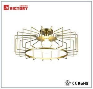 Hot Sale and New Design Modern Simple Ceiling Light Ce