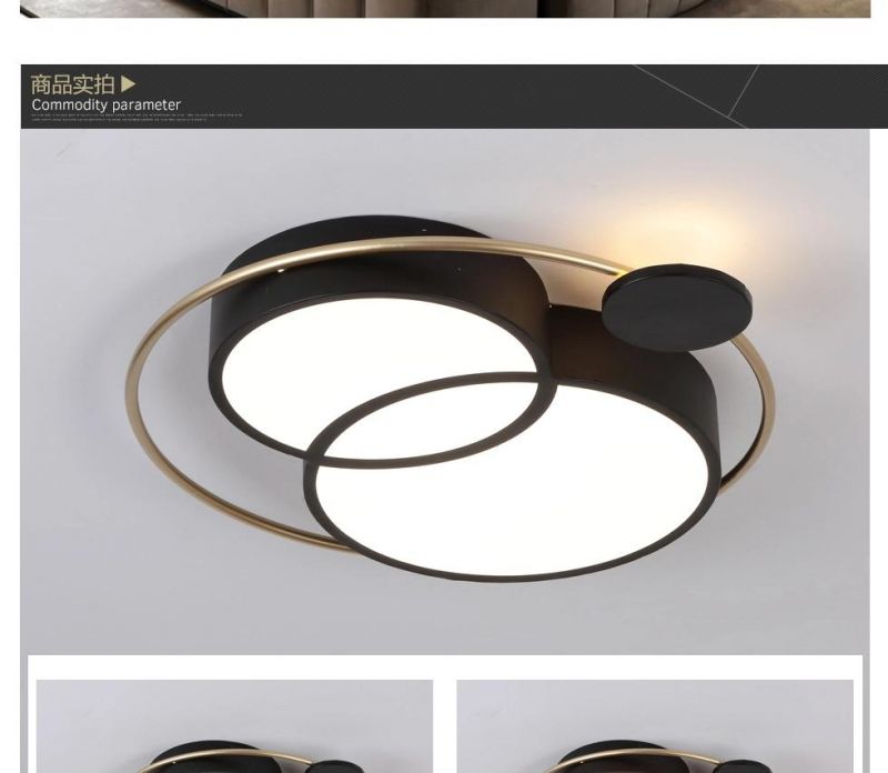 LED Iron Art Indoor Living Room, Hotel Project Decoration Light Chandelier