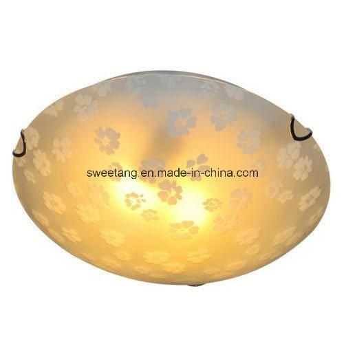 Modern Light Hot Sale Glass Ceiling Lamp D30 D40 E27 for House Bedroom Lighting