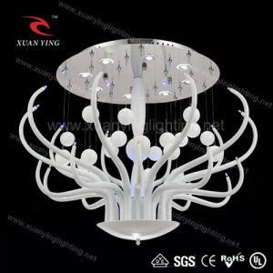 Flowery Modern Lamps LED Ceiling Light with Plastic Ball (MX20194-8+20)