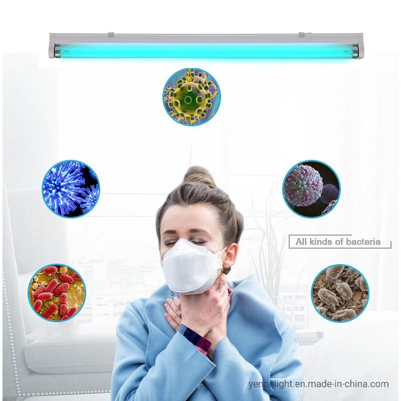 Ultraviolet Lamp UVC Light Germicidal Disinfectiont8 Tube LED Lighting