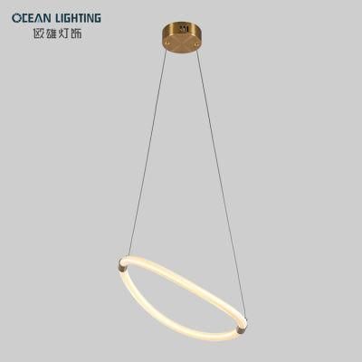 Modern Minimalist Indoor Living Room Metal LED Ceiling Light