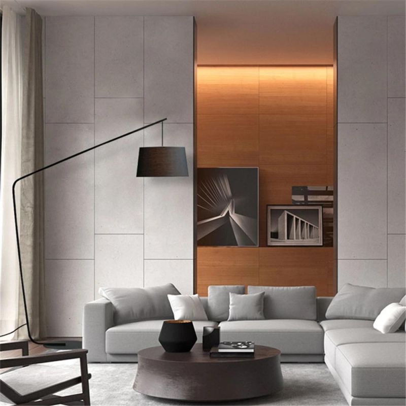 Arc Decoration Reading LED Lighting Floor Lamp