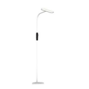 LED Creative Floor Lamp Simple Vertical Large Surface Light Source Lamp Remote Stand LED Floor Lamp Dimming Standing Lamps