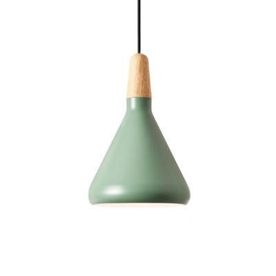 Modern Interior Light Pendant Lighting Home Pendant Light Blue Pendant Lamp