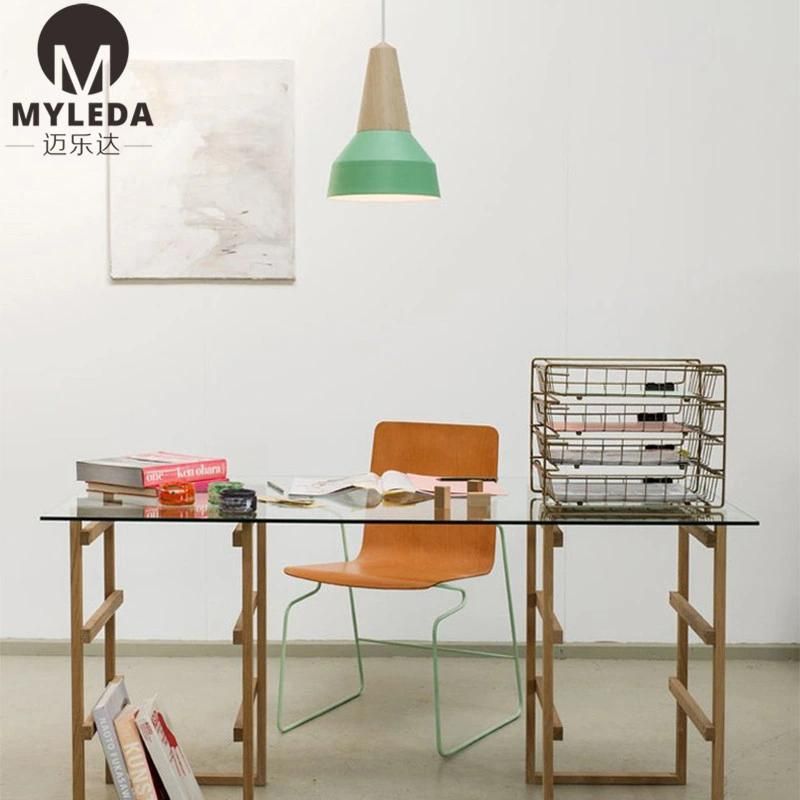 Colorful Hotel Project Decoration LED Pendant Lamp